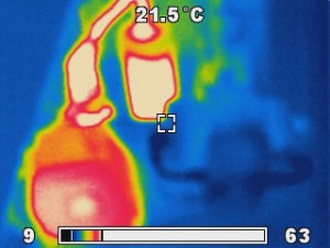 Thermal image Levitronix centrifugal pump and White Knight pump