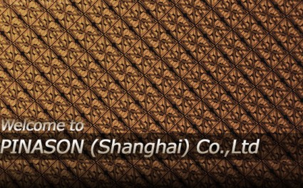 Pinason Shanghai 半導体ウエハプロセス